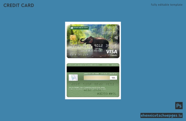 Beispielvorschau der Visa Classic Card der Kenya Co-operative Bank